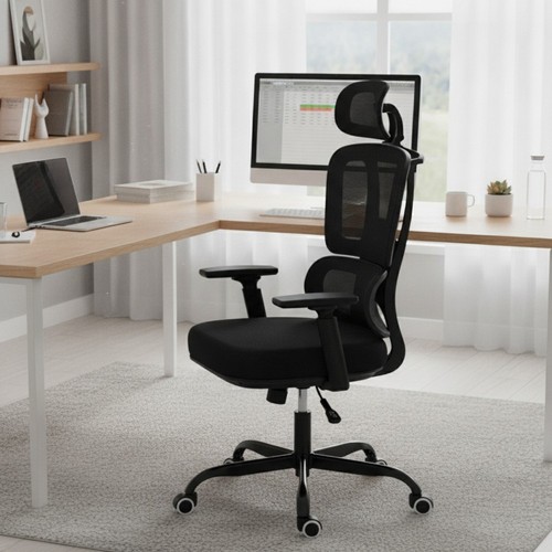 Ergonomic mesh back office - ergonomic,